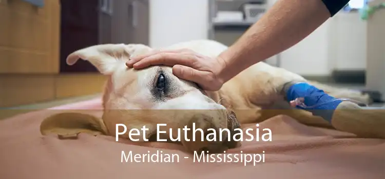 Pet Euthanasia Meridian - Mississippi