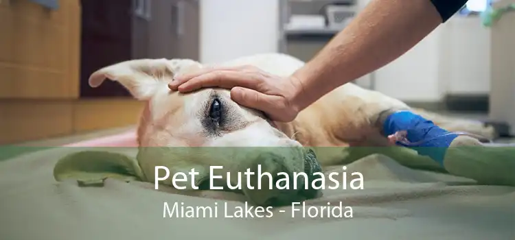 Pet Euthanasia Miami Lakes - Florida