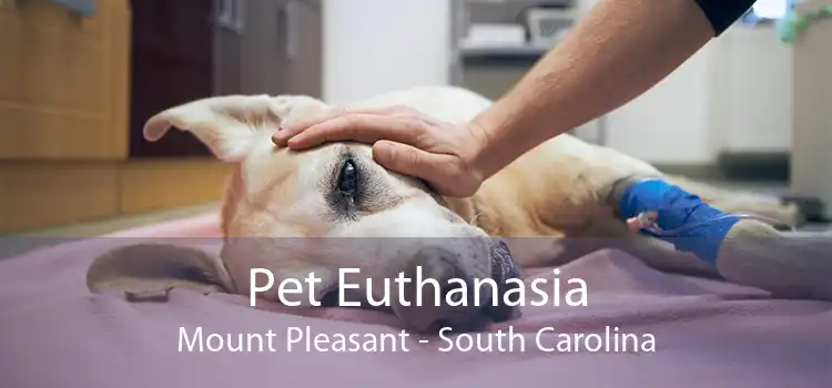 Pet Euthanasia Mount Pleasant - South Carolina