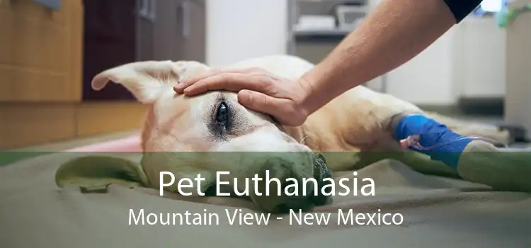 Pet Euthanasia Mountain View - New Mexico