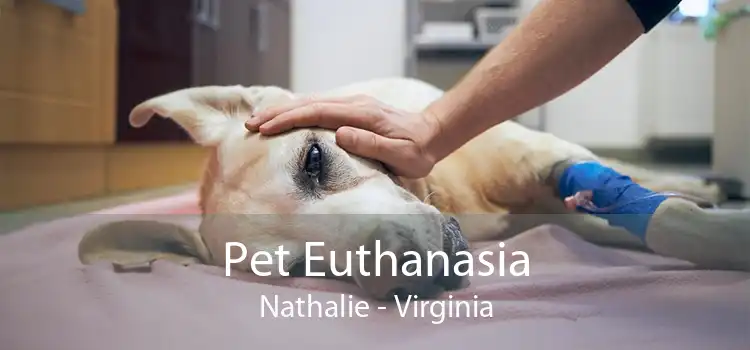 Pet Euthanasia Nathalie - Virginia