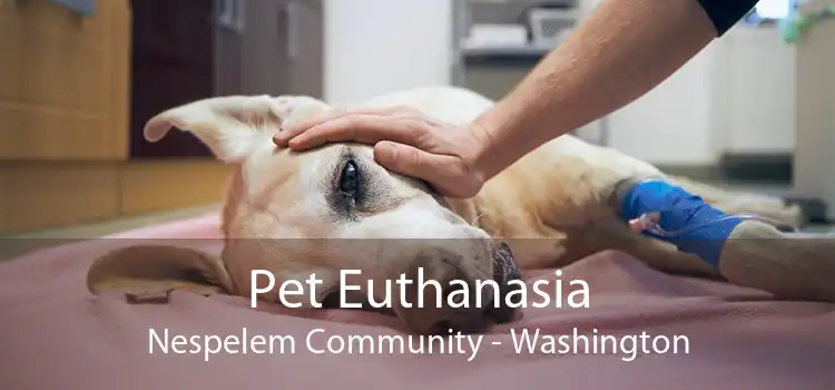 Pet Euthanasia Nespelem Community - Washington