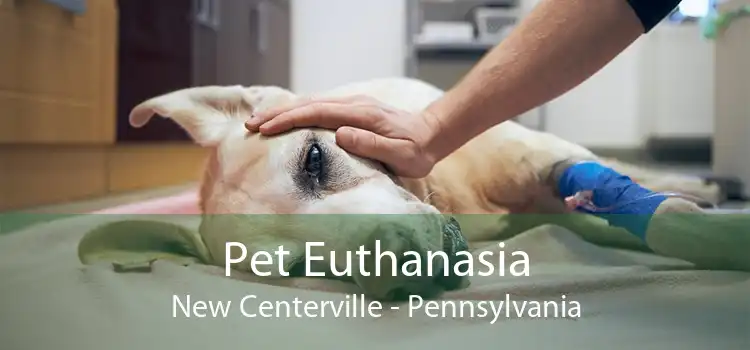 Pet Euthanasia New Centerville - Pennsylvania