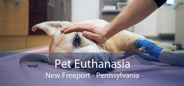 Pet Euthanasia New Freeport - Pennsylvania