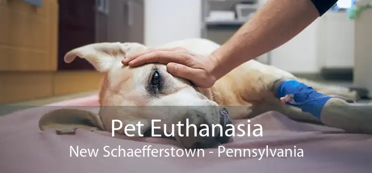 Pet Euthanasia New Schaefferstown - Pennsylvania
