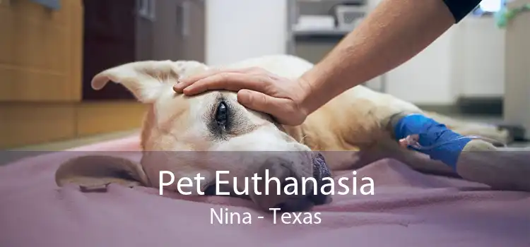 Pet Euthanasia Nina - Texas