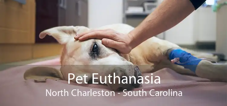 Pet Euthanasia North Charleston - South Carolina