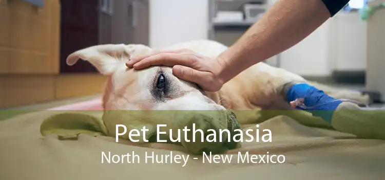 Pet Euthanasia North Hurley - New Mexico