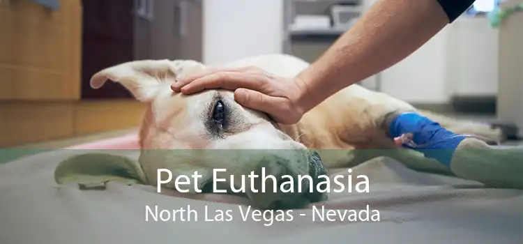 Pet Euthanasia North Las Vegas - Nevada