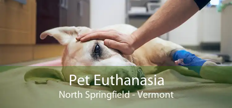 Pet Euthanasia North Springfield - Vermont
