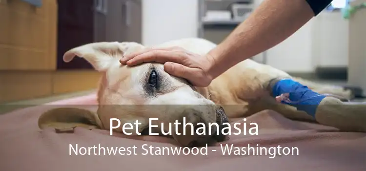 Pet Euthanasia Northwest Stanwood - Washington