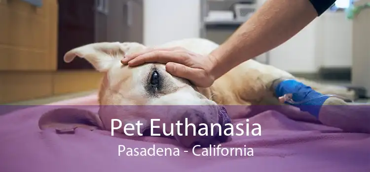 Pet Euthanasia Pasadena - California