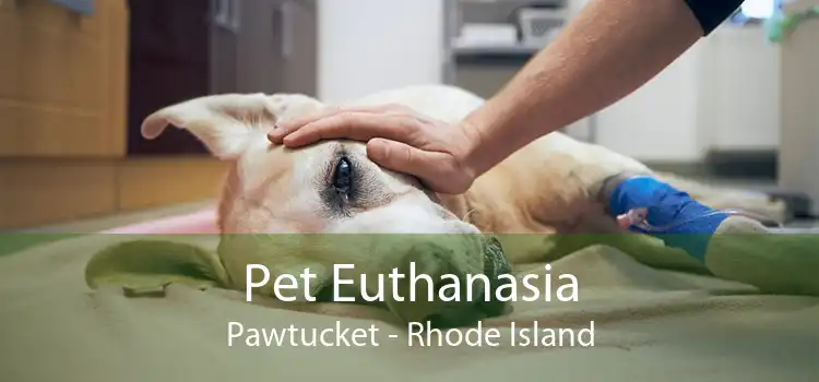 Pet Euthanasia Pawtucket - Rhode Island
