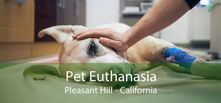 Pet Euthanasia Pleasant Hill - California