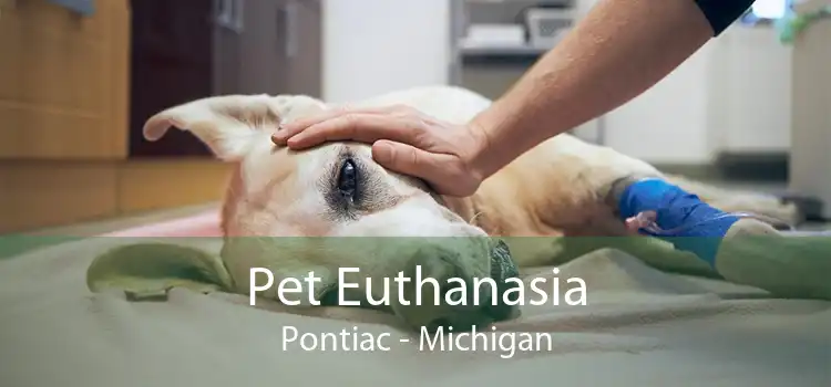 Pet Euthanasia Pontiac - Michigan