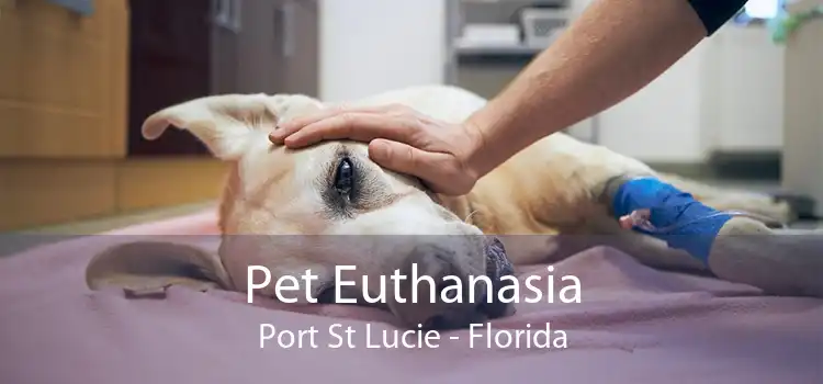 Pet Euthanasia Port St Lucie - Florida