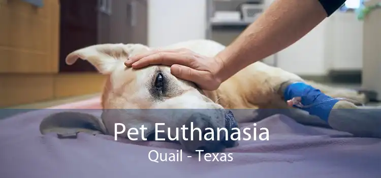 Pet Euthanasia Quail - Texas