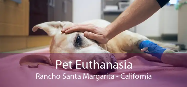 Pet Euthanasia Rancho Santa Margarita - California