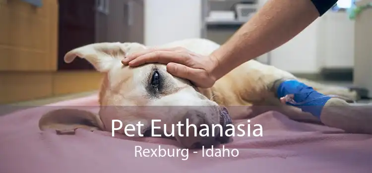 Pet Euthanasia Rexburg - Idaho