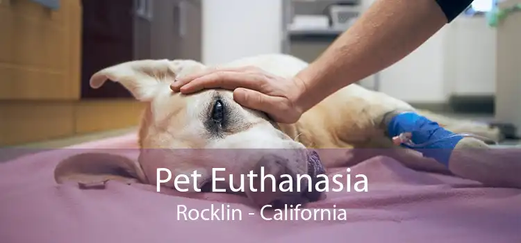 Pet Euthanasia Rocklin - California
