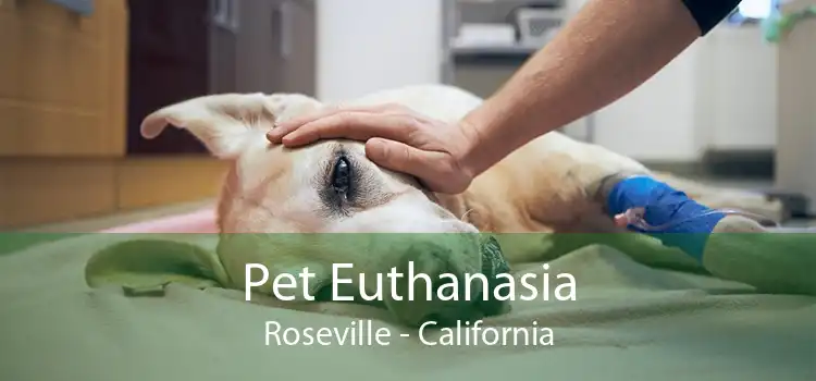 Pet Euthanasia Roseville - California
