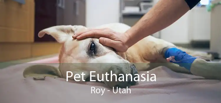 Pet Euthanasia Roy - Utah