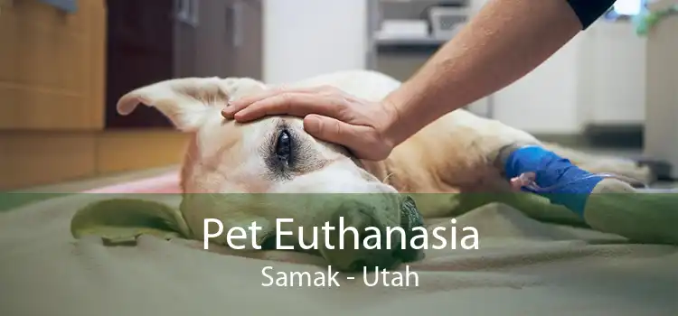 Pet Euthanasia Samak - Utah