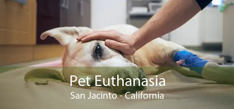 Pet Euthanasia San Jacinto - California
