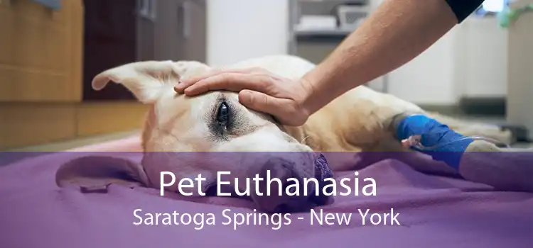 Pet Euthanasia Saratoga Springs - New York