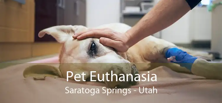Pet Euthanasia Saratoga Springs - Utah