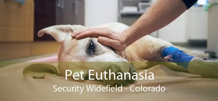 Pet Euthanasia Security Widefield - Colorado