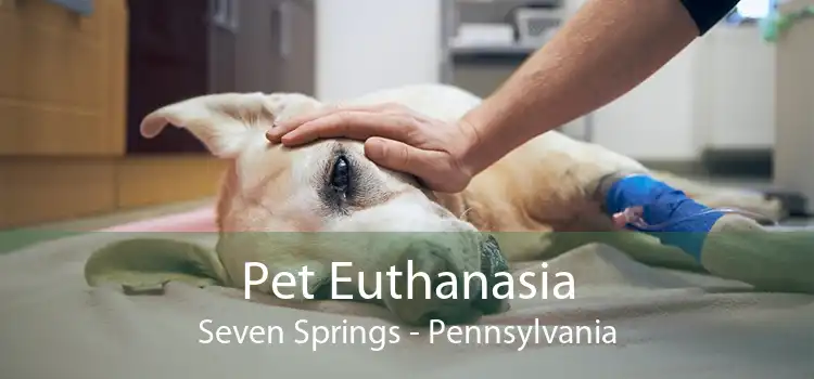 Pet Euthanasia Seven Springs - Pennsylvania
