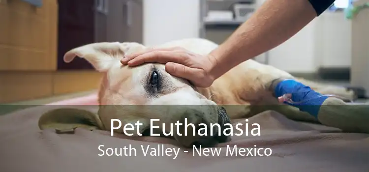 Pet Euthanasia South Valley - New Mexico