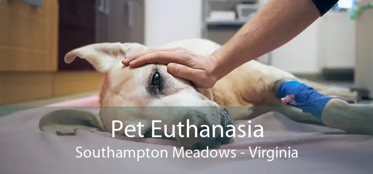 Pet Euthanasia Southampton Meadows - Virginia