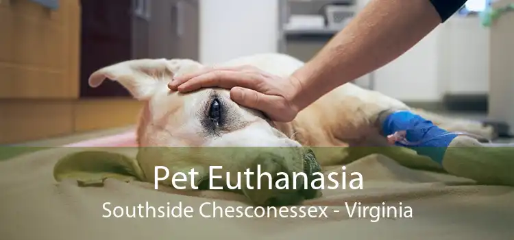 Pet Euthanasia Southside Chesconessex - Virginia