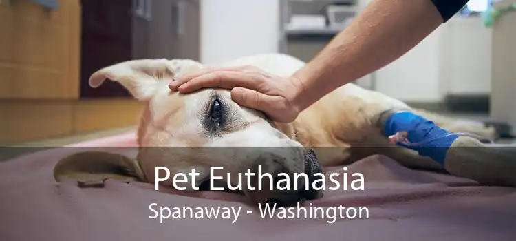 Pet Euthanasia Spanaway - Washington