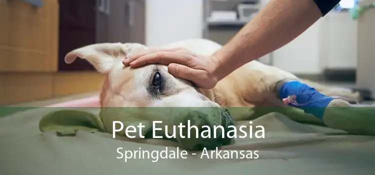 Pet Euthanasia Springdale - Arkansas