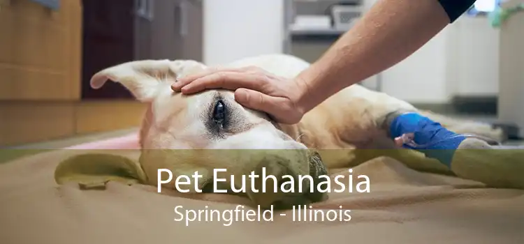 Pet Euthanasia Springfield - Illinois