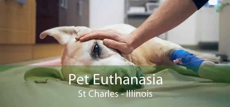 Pet Euthanasia St Charles - Illinois