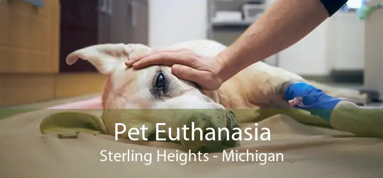 Pet Euthanasia Sterling Heights - Michigan