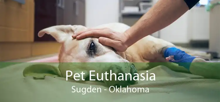 Pet Euthanasia Sugden - Oklahoma
