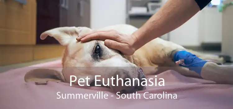 Pet Euthanasia Summerville - South Carolina