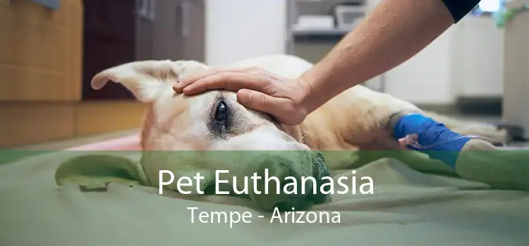 Pet Euthanasia Tempe - Arizona