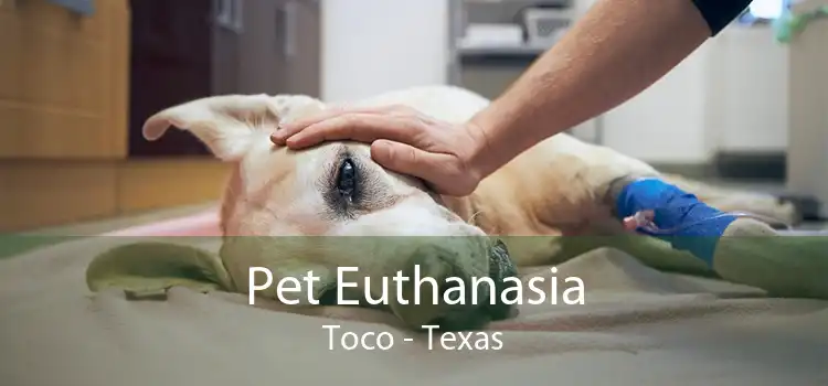 Pet Euthanasia Toco - Texas