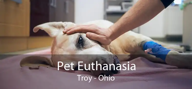 Pet Euthanasia Troy - Ohio