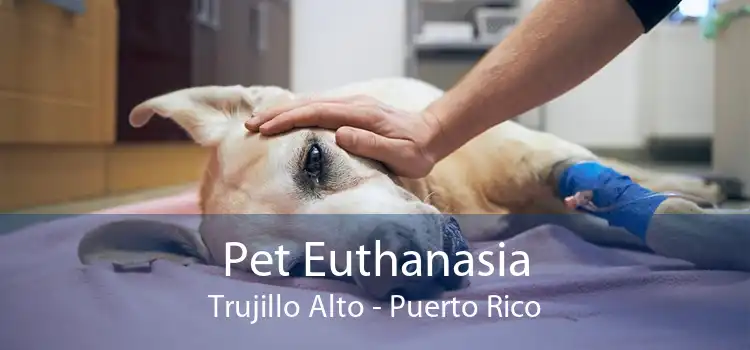 Pet Euthanasia Trujillo Alto - Puerto Rico