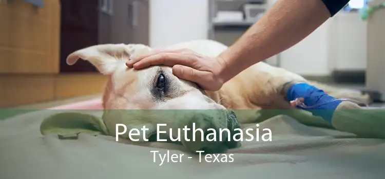 Pet Euthanasia Tyler - Texas