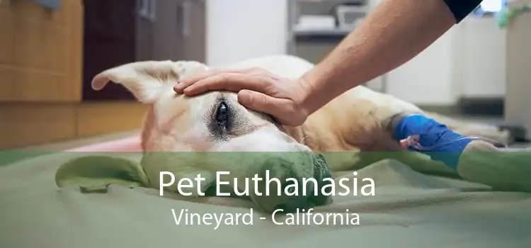 Pet Euthanasia Vineyard - California