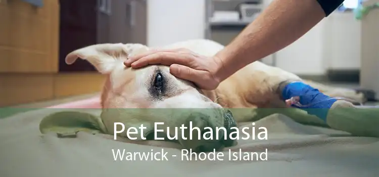 Pet Euthanasia Warwick - Rhode Island