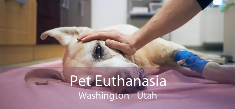 Pet Euthanasia Washington - Utah
